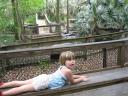 eden-with-alligators.JPG