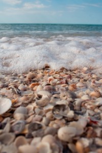 istock_000008512806xsmall