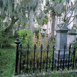 tombstones in cemetery during memphis ghost tour