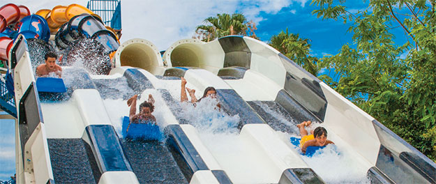 Aqua Racer at Wet n Wild Orlando