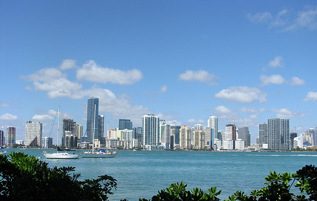 Miami Skyline