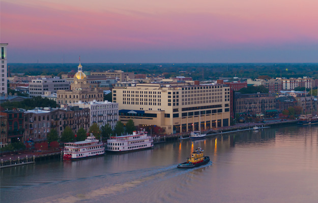 Savannah Skyline