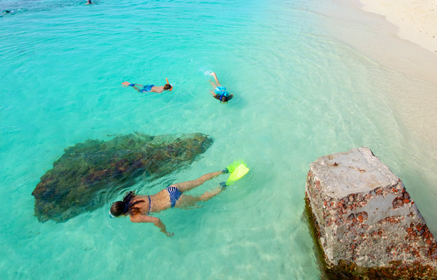 Key West Snorkel