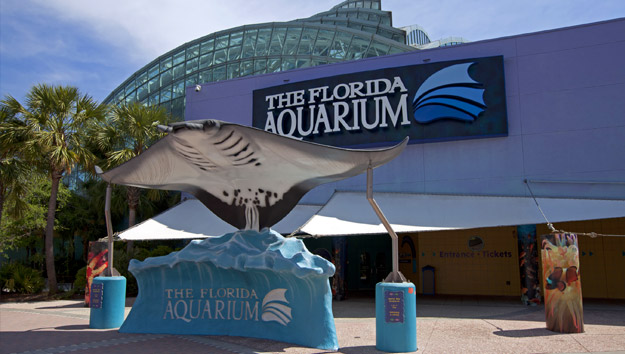 Tampa Florida Aquarium