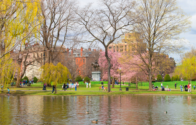 Boston Public Garden