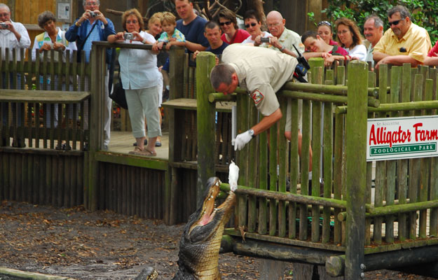 st-augustine-alligator-farm