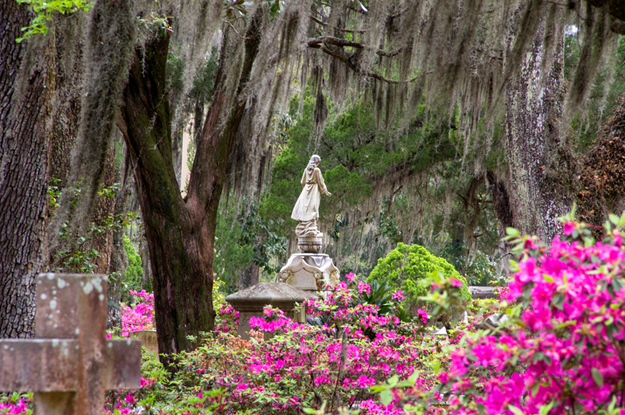 can you tour bonaventure cemetery on your own