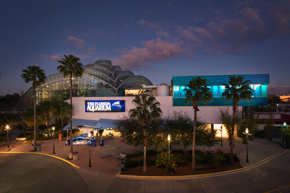 florida-aquarium-at-night