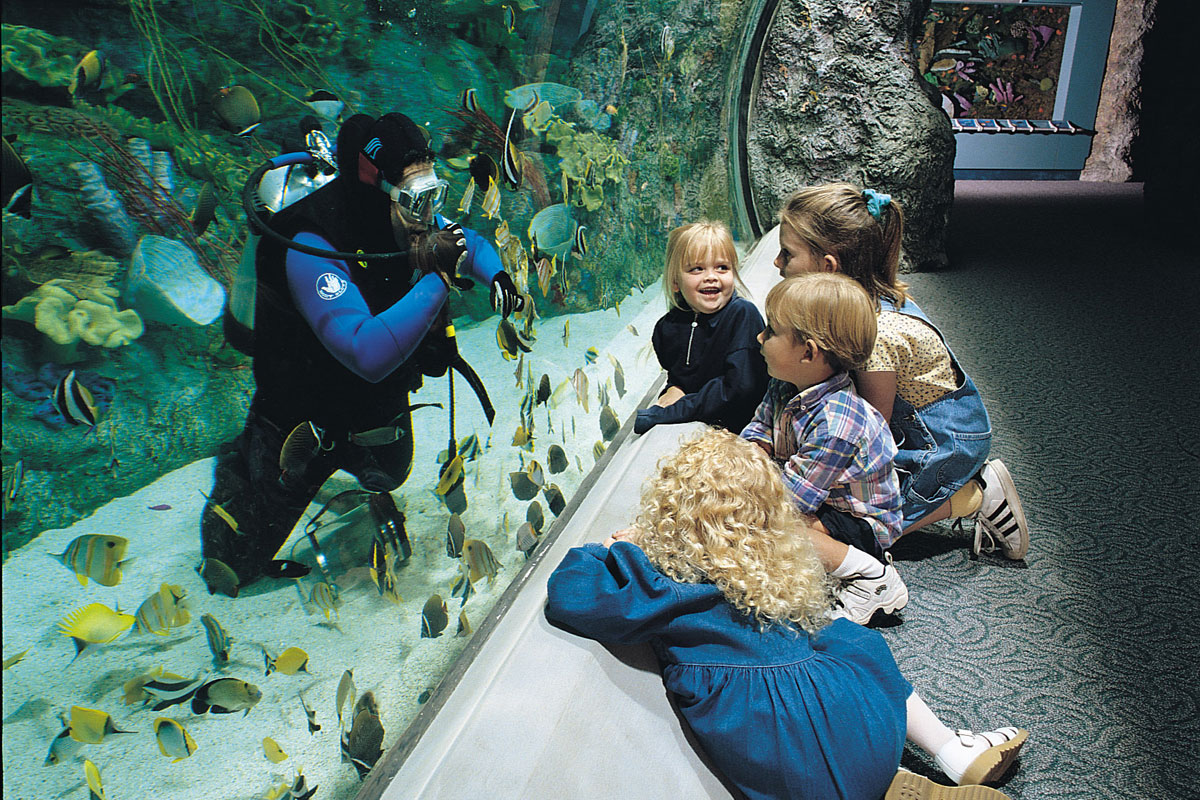 kids-learning-aquarium-on-the-pacific