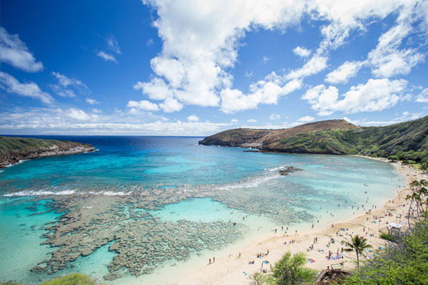 Hanauma Bay Aerial view