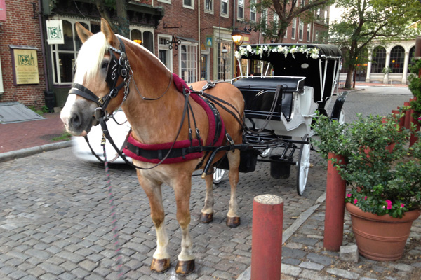 Horse-Drawn Carriage on cobblestone street in Philadelphia