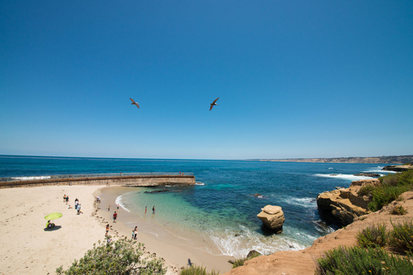 sunset cliff beach in san diego