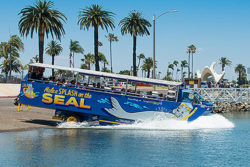 San Diego Seals Tours
