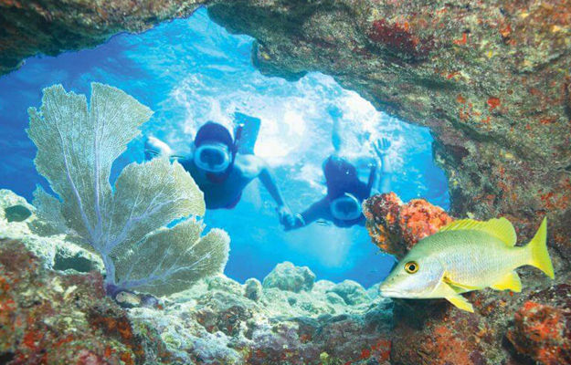 couple holding hands snorkeling in key west reef