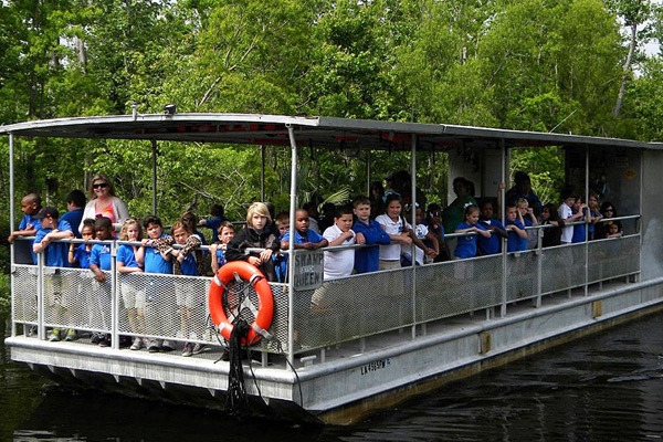 Jean Lafitte Swamp Tour with Transportation in New Orleans