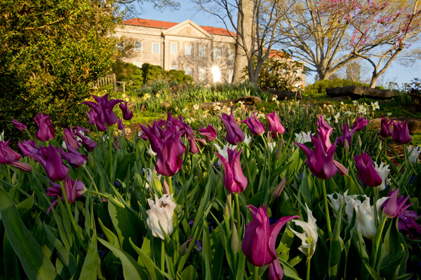 Cheekwood Estate and Gardens